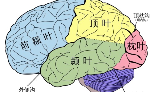 瘫痪病人双脚肿胀-瘫痪病人脚部水肿网 - 网站提供瘫痪病人脚肿腿肿怎么回事小常识、瘫痪病人脚肿了什么原因